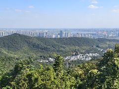 -旺福楼(钱家坞总店)