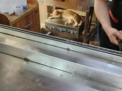 -王魁腊汁肉夹馍(柿园路店)