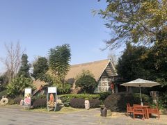 -老房子金沙元年川菜食府·花园餐厅(金沙店)