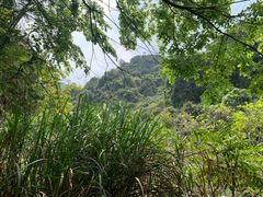 -阳台山森林公园