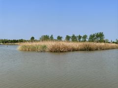 -盐城丹顶鹤湿地生态旅游区