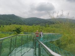 -陶祖圣境风景区