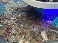 -大众海鲜(巨龙北路店)