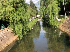 -捞渔河湿地公园
