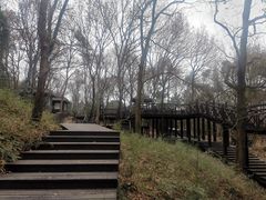 -宝岩生态观光园