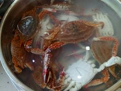 -王潮活海鲜自助·蒸汽海鲜