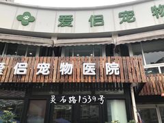 -爱侣宠医·鹦鹉专科·小型哺乳类·异宠专科(灵石路店)