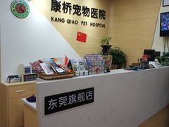 -千城康桥宠物医院·猫科·骨科·心脏