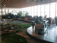 -Seesaw Coffee(朝阳大悦城店)