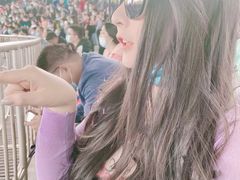 -辛玛王国游乐园