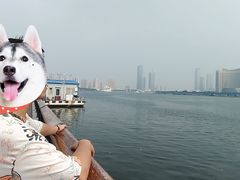 -海河外滩公园