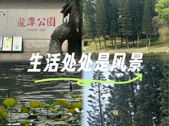 -深圳龙潭公园