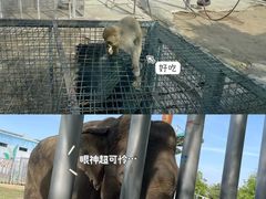 -临沂动植物园
