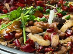 -食神又名厕所兔