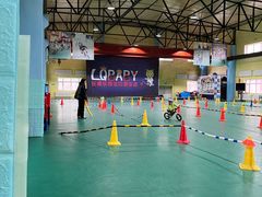 -长春乐奇平衡车儿童体能运动中心