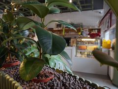 -Catch Bagel(芳草地店)