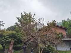 -千岛湖石林