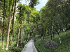 -龙头寺公园