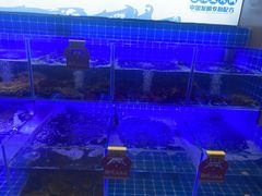 -七欣天香辣蟹火锅(苏州东大街店)