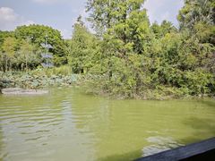 -海珠湖公园