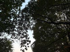 -火炉山森林公园
