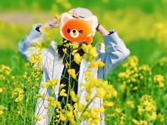 -光明小镇欢乐田园