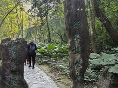 -桂林古东瀑布景区