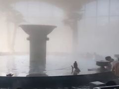 -仁爱团泊湖温泉中心