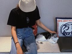 -飞行喵MR PILOT|猫舍·猫咖(静安大融城店)