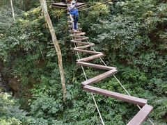 -西双版纳原始森林公园