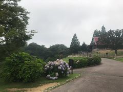 -神户市立六甲山牧场