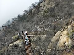 -大岭沟猕猴桃谷风景区