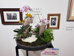 -云溪植物园