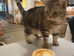 -25#COFFEE(古地石店)