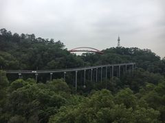 -金鸡山公园