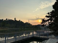 -东莞植物园