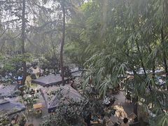 -青羊宫