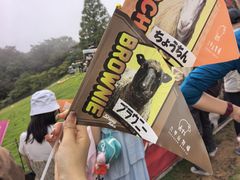 -神户市立六甲山牧场