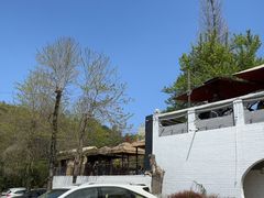 -桃源山庄·水蜜桃采摘·柴火鸡·烧烤团建(龙泉山店)
