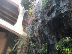 -正佳雨林生态植物园