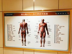 -通透堂中医·精准推拿(旗舰店)