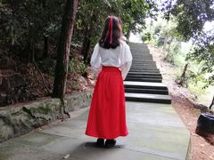 -铁山坪森林公园