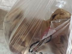 -御梁坊红糖馒头