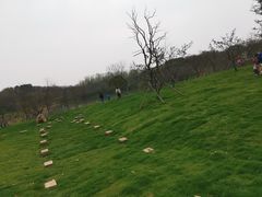 -盘龙城国家考古遗址公园