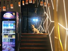 -赛卡联盟WSK卡丁车俱乐部