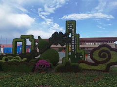 -药王庙(安国市)