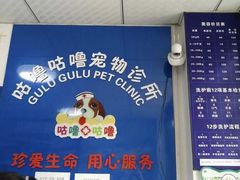 -咕噜咕噜宠物医院·CT·肿瘤科·骨科(前海院)