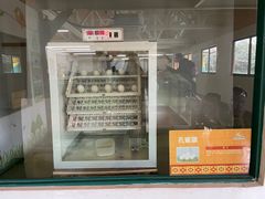 -杭州野生动物世界