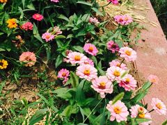 -万源龙顺度假庄园生态观光园