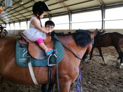 -月河湾马术俱乐部(朝阳店)